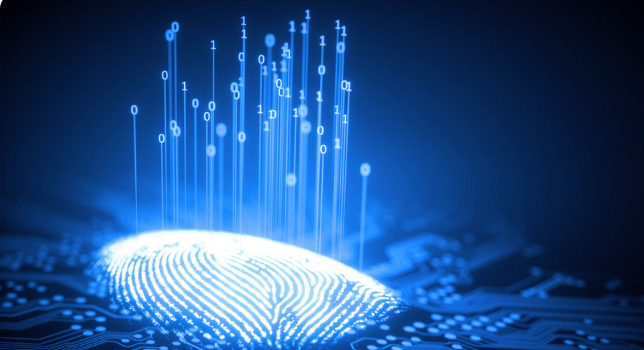 仲博·cbin99(中国)官方网站